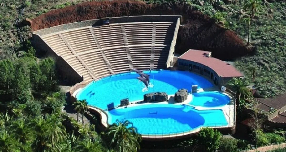 Illegally built tanks for dolphins at Palmitos Park cannot be legalised after the fact