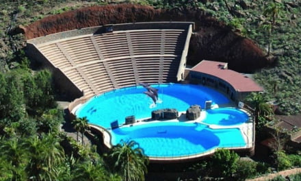 Illegally built tanks for dolphins at Palmitos Park cannot be legalised after the fact