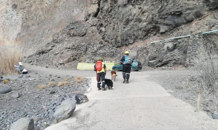 Search team rescue dogs verify that no-one was caught in La Gomera landslide