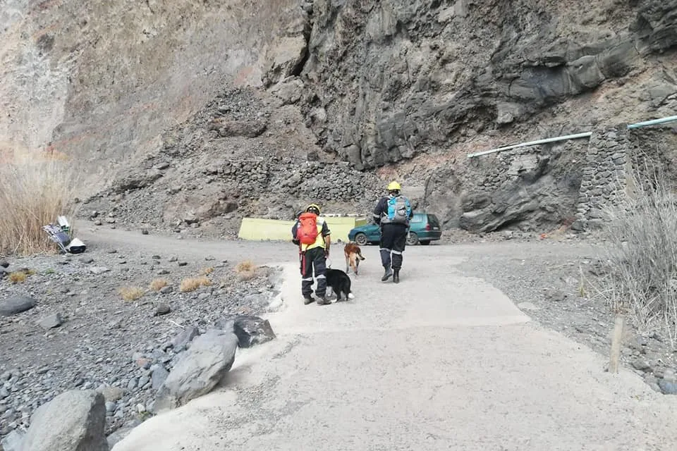 Search team rescue dogs verify that no-one was caught in La Gomera landslide