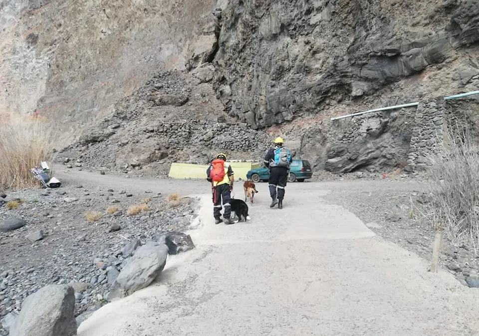 Search team rescue dogs verify that no-one was caught in La Gomera landslide