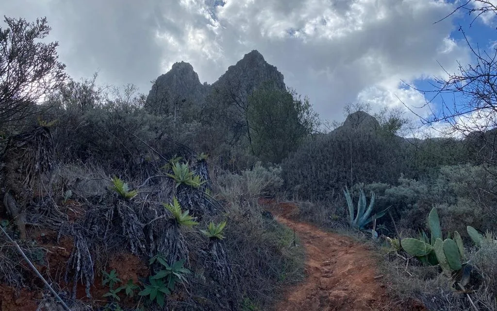 Weather: Rain and strong winds to end the week on Gran Canaria as Atlantic storm passes to the north