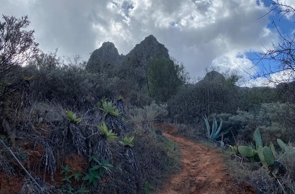 Weather: Rain and strong winds to end the week on Gran Canaria as Atlantic storm passes to the north
