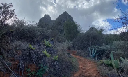 Weather: Rain and strong winds to end the week on Gran Canaria as Atlantic storm passes to the north
