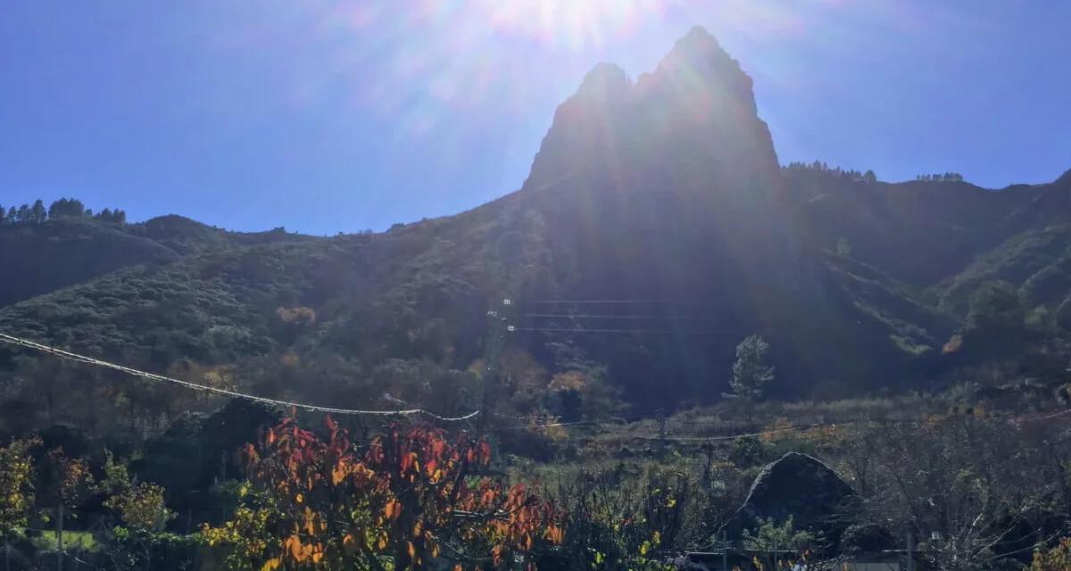 Weather: Canary Islands enjoying temperatures of 30ºC+ this week