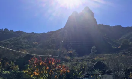 Weather: Canary Islands enjoying temperatures of 30ºC+ this week