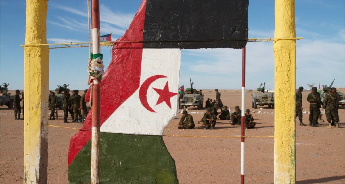 Fighting breaks out in Western Sahara as tensions escalate between Polisario Front and Moroccan occupying forces