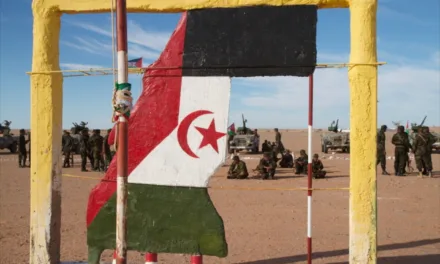 Fighting breaks out in Western Sahara as tensions escalate between Polisario Front and Moroccan occupying forces
