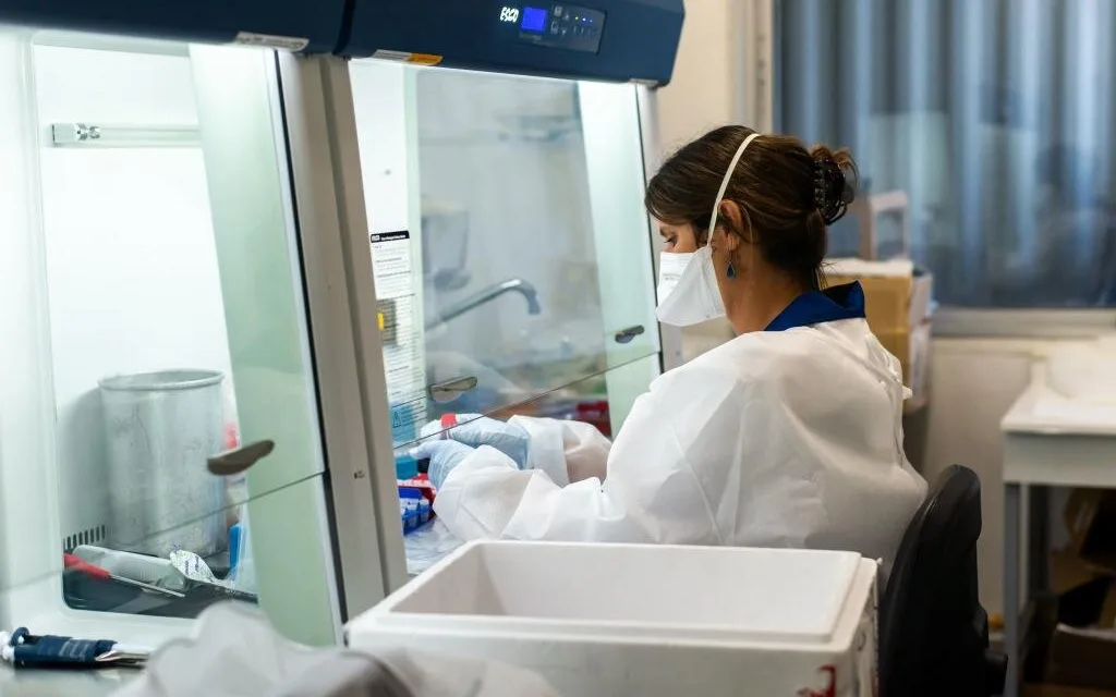 New strain of coronavirus emerged in Spain, now most prevalent in second wave across Europe