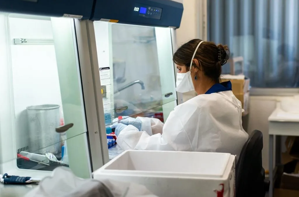 New strain of coronavirus emerged in Spain, now most prevalent in second wave across Europe