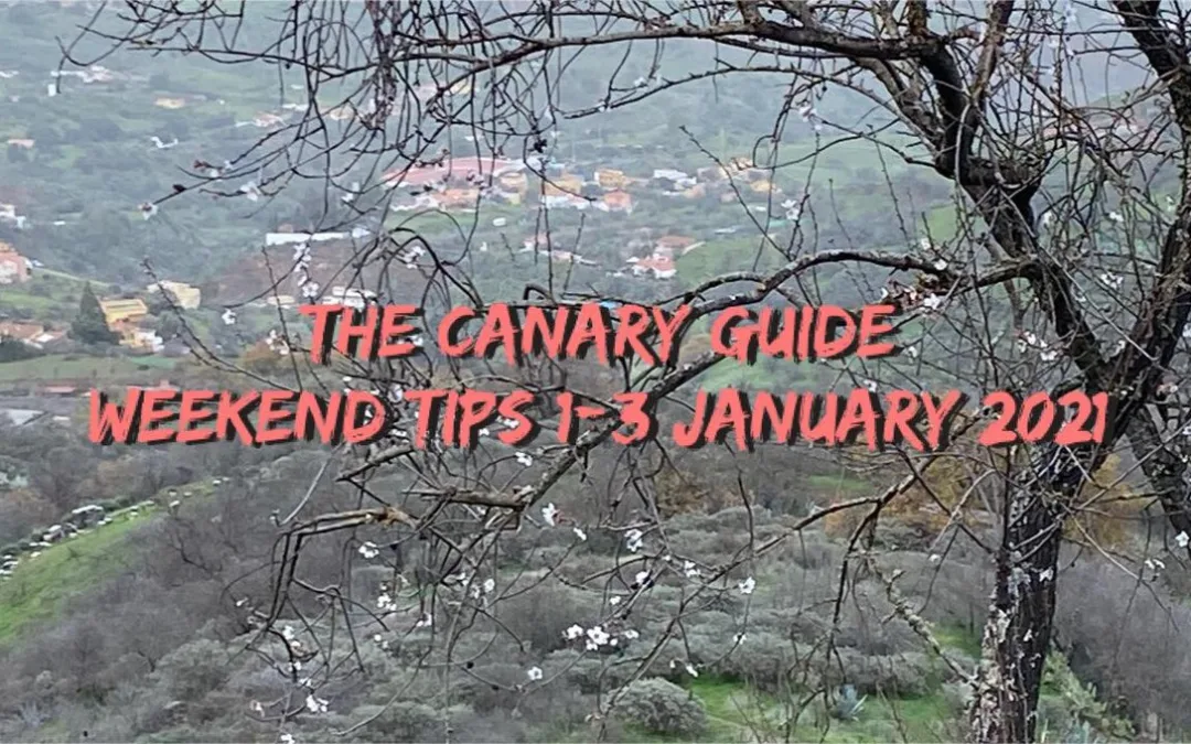 The Canary Guide New Year Weekend Tips 1-3 January 2021
