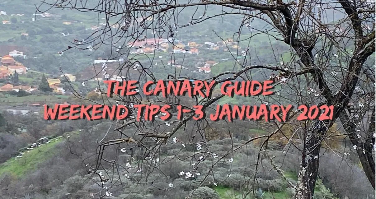 The Canary Guide New Year Weekend Tips 1-3 January 2021