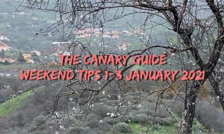 The Canary Guide New Year Weekend Tips 1-3 January 2021