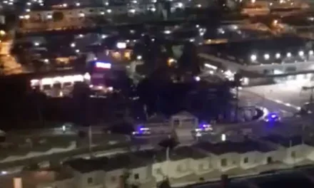 Massive drugs bust as social networks falsely used to claim Puerto Rico “riot” on Monday night