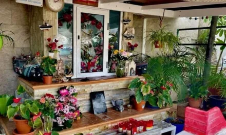Alleged theft from Arguineguin port shrine under investigation