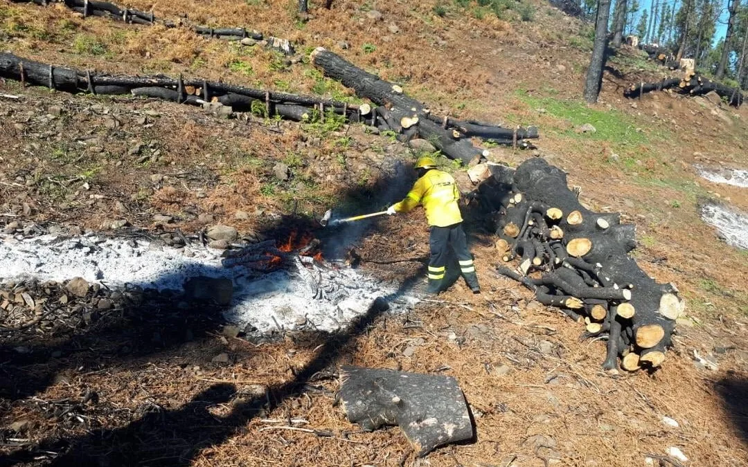 Pruning and burning at the peaks and inland areas of Gran Canaria