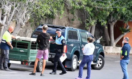 Six potentially dangerous dogs seized by Mogán local Police in Playa del Cura