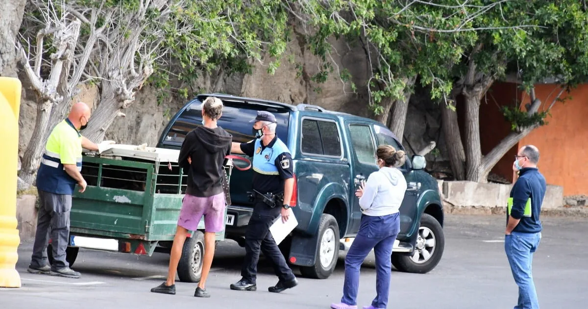 Six potentially dangerous dogs seized by Mogán local Police in Playa del Cura