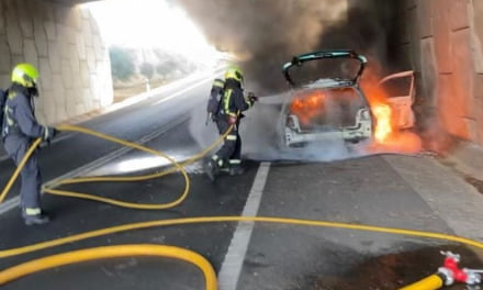 A car was completely destroyed in a roadside fire this afternoon, under the bridge at the entry slip road to Arguineguín