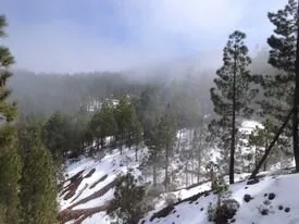 Snow alert for Gran Canaria summits