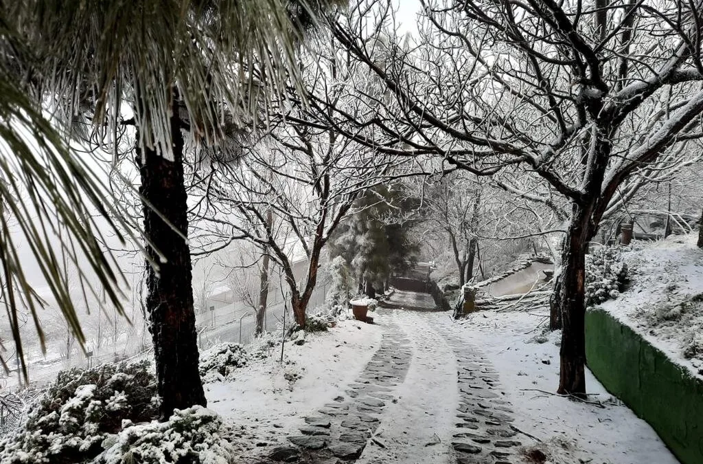 The highest summits of Gran Canaria remain closed to traffic due to snow and bad weather