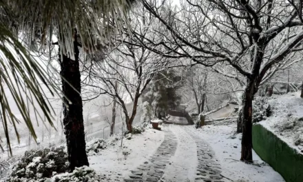 The highest summits of Gran Canaria remain closed to traffic due to snow and bad weather