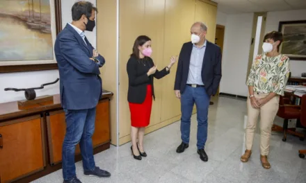 Meeting with TUI Group CEO, Sebastian Ebel, confirms good forecasts for the Canary Islands and confidence in the reactivation of holidays from this summer