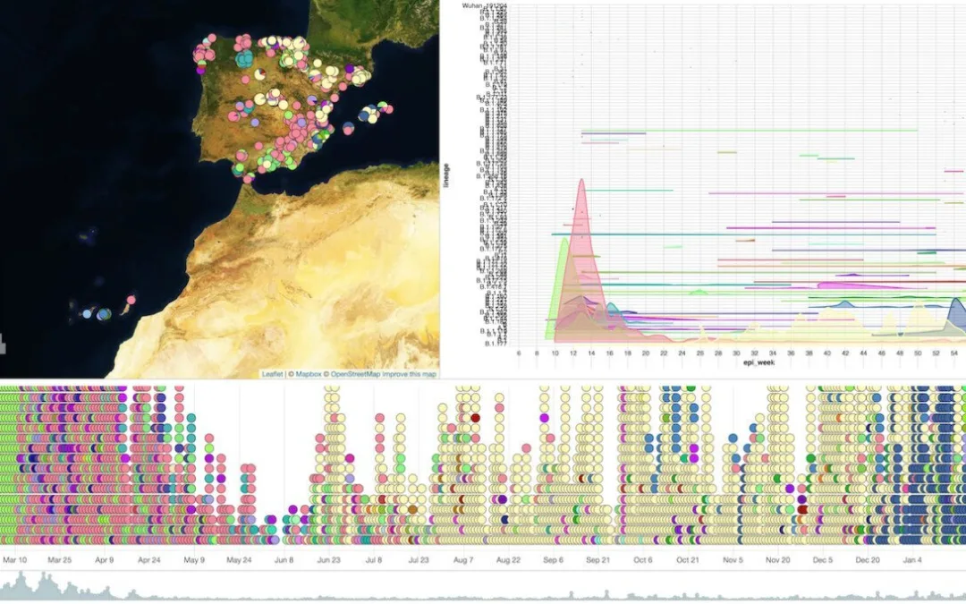 Río de Janeiro strain of COVID-19 not of immediate concern in Canary Islands, where data trends continue positively