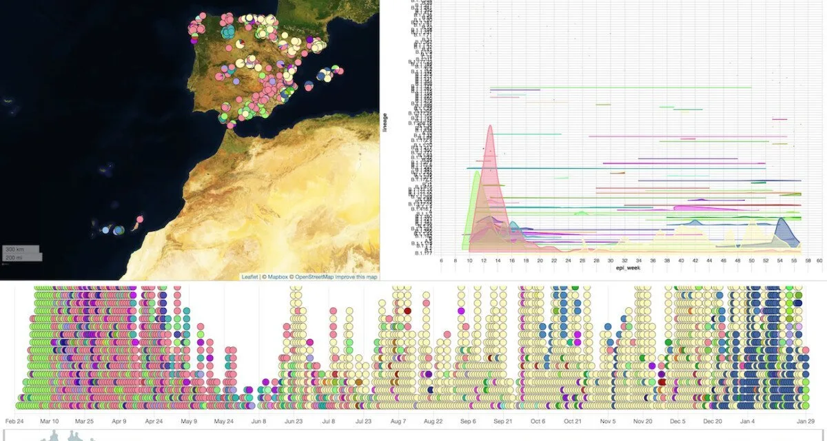 Río de Janeiro strain of COVID-19 not of immediate concern in Canary Islands, where data trends continue positively