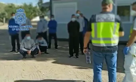 Fourteen men arrested by National Police including the skippers of seven boats that recently arrived on the coasts of Gran Canaria and Lanzarote