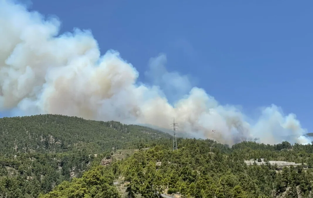 Tenerife Forest Fire declared a Level 2 emergency at the request of the Cabildo de Tenerife