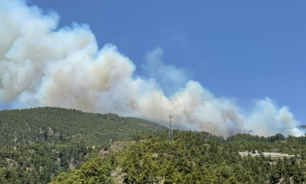 Tenerife Forest Fire declared a Level 2 emergency at the request of the Cabildo de Tenerife