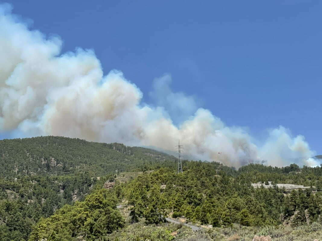 Tenerife Forest Fire declared a Level 2 emergency at the request of the Cabildo de Tenerife
