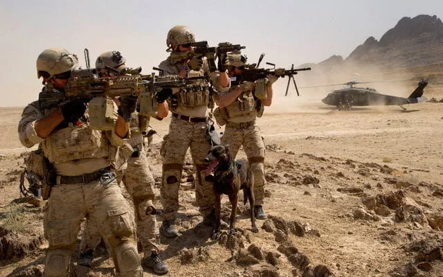 US military’s African Lion exercises will not be happening in Western Sahara
