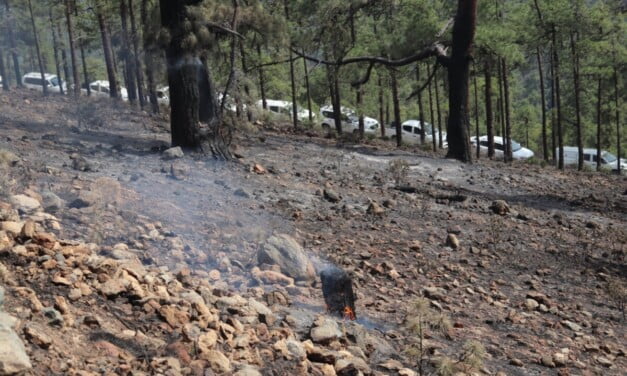 Tenerife forest fire stabilised though not yet declared under control