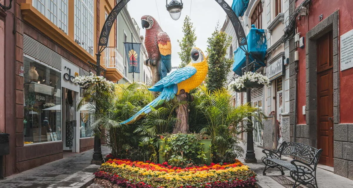The Canary Guide Weekend Tips 14-16 May 2021 – We’re Back!