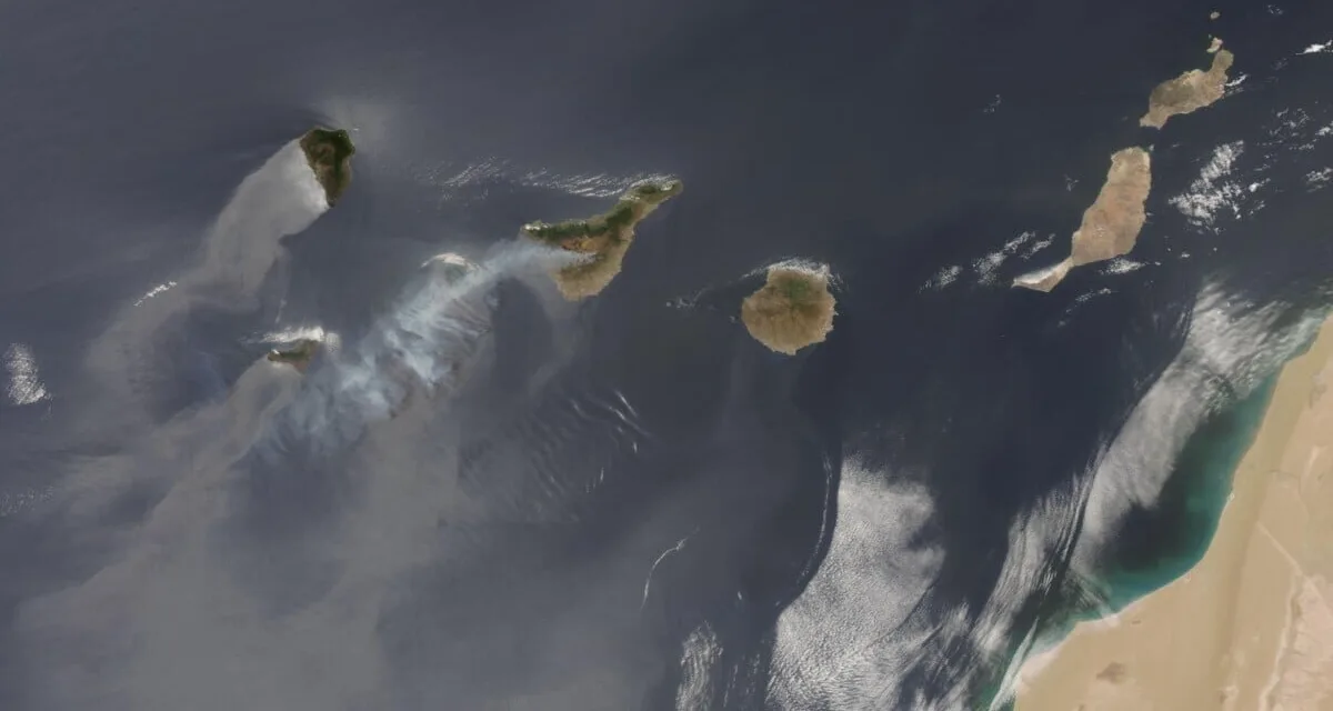 The Tenerife forest fire in Arico evolving favourably, although it remains uncontrolled