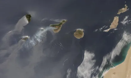 The Tenerife forest fire in Arico evolving favourably, although it remains uncontrolled