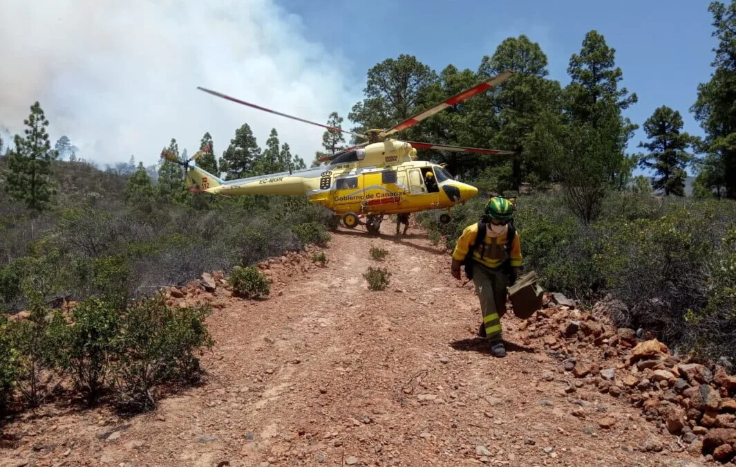 #IFArico: Tenerife Forest Fire has already burned more than 1500 hectares (6000 acres)