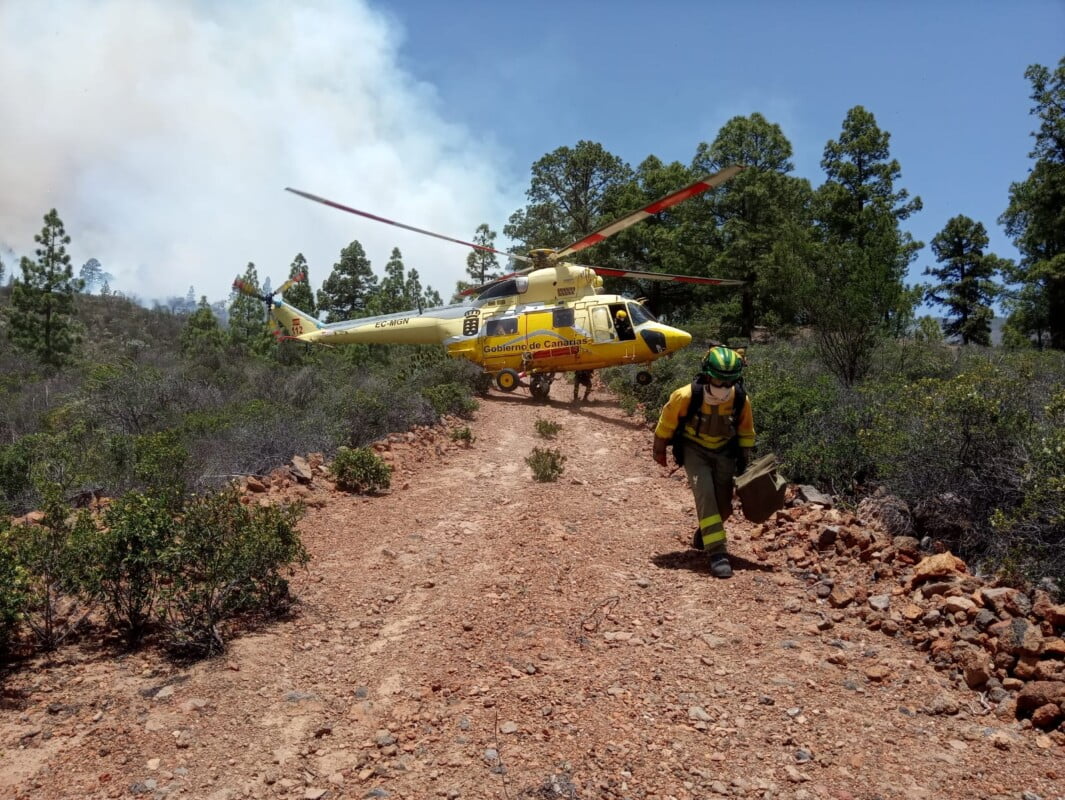 #IFArico: Tenerife Forest Fire has already burned more than 1500 hectares (6000 acres)