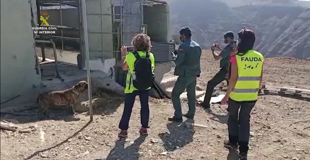 Two detained in an animal abuse case in Tauro