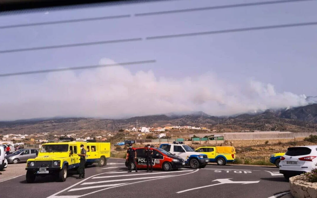 #IFArico: Gran Canaria firefighters help more than 300 fire fighters with the Tenerife forest fire which continues uncontrolled