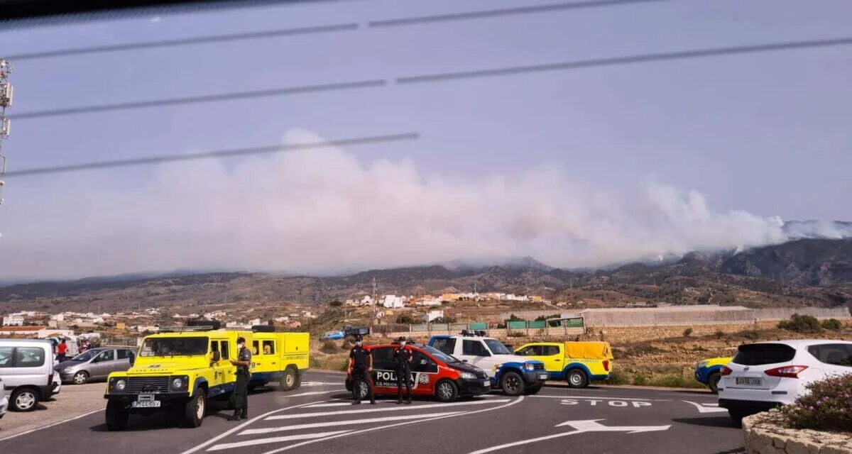 #IFArico: Gran Canaria firefighters help more than 300 fire fighters with the Tenerife forest fire which continues uncontrolled