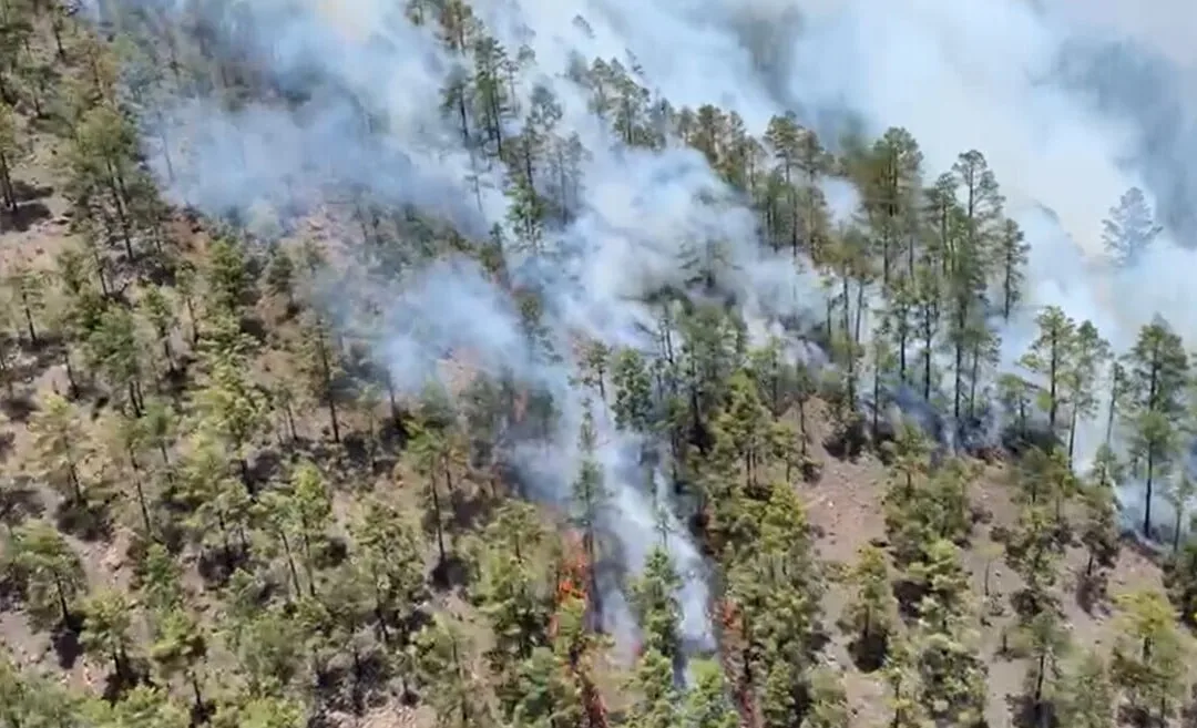 Four helicopters, a seaplane, fire fighters and the army try to bring Tenerife fire under control