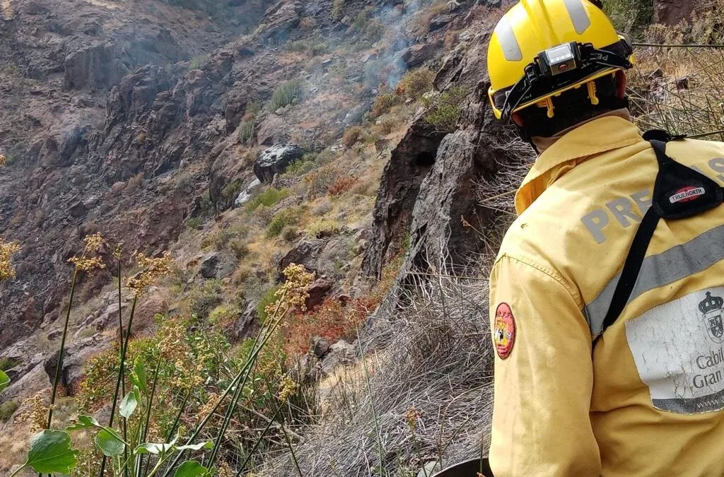 Cabildo declares alert for the risk of forest fires in the midlands and summits of Gran Canaria