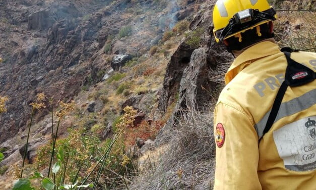 Cabildo declares alert for the risk of forest fires in the midlands and summits of Gran Canaria