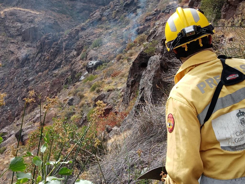 Cabildo declares alert for the risk of forest fires in the midlands and summits of Gran Canaria