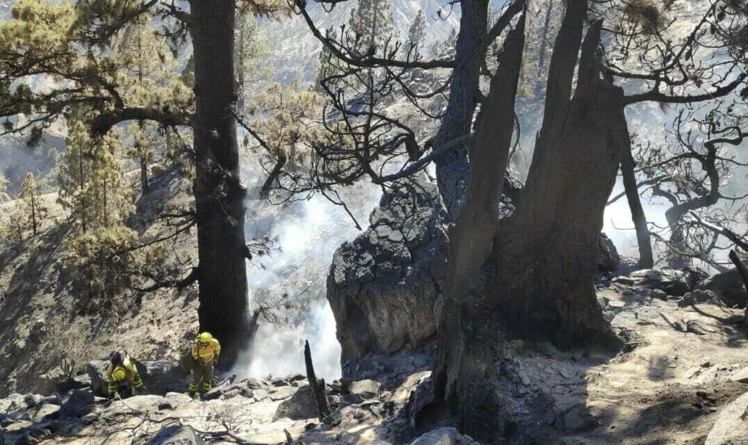 Smoke and Soot and smouldering forest: teams work to extinguish the Arico fire