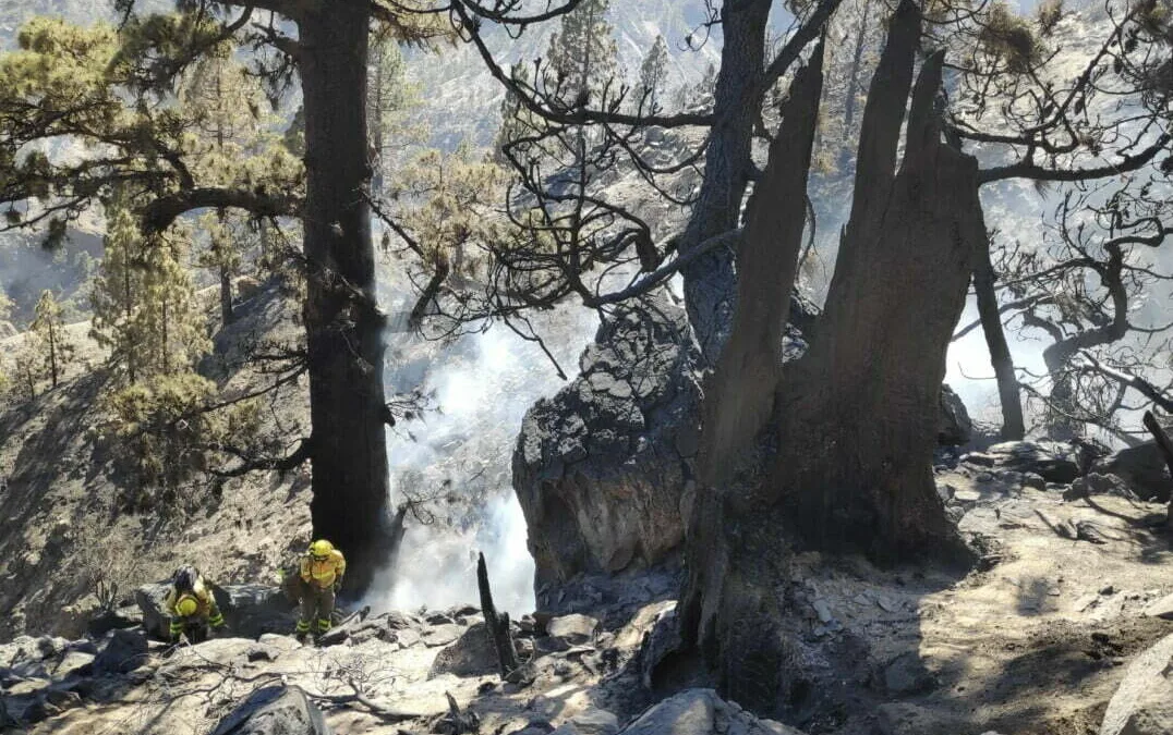 Smoke and Soot and smouldering forest: teams work to extinguish the Arico fire