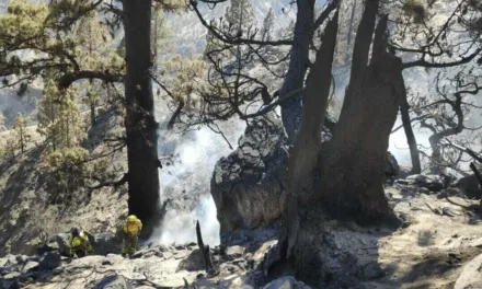 Smoke and Soot and smouldering forest: teams work to extinguish the Arico fire